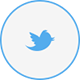 Twitter Logo